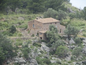IMG_6178 (Medium)   